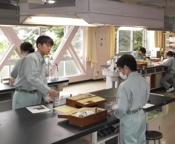 定性分析４